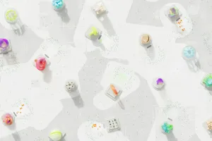Web Design & Development